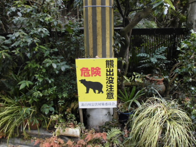 2019/01/03 12:38:33 京都一周トレイル