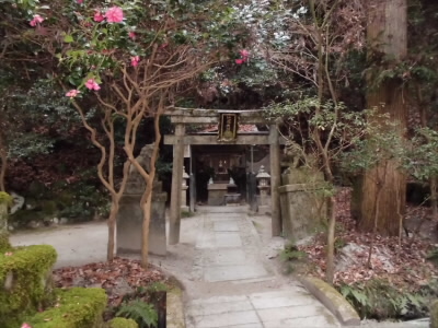 小さなお社でしたが、ちゃんとお参りしました。