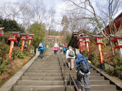 ここところ体力が落ちていて、階段も坂道もしんどい。
なんとか、しなくちゃ。