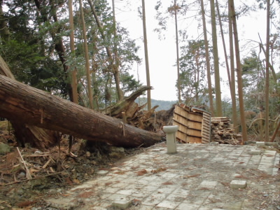 2019/01/12 10:57:30 鞍馬寺