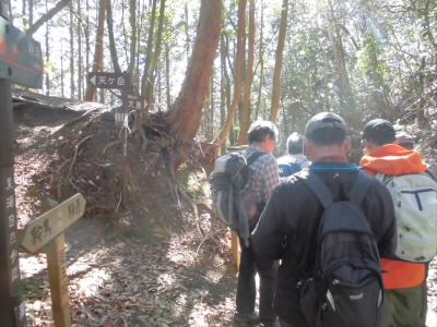 １５分もかからずに登ってしまいました。