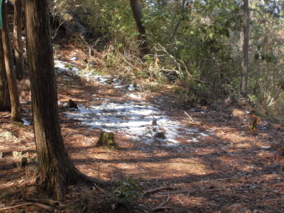この辺りはまだ雪が残ってました。