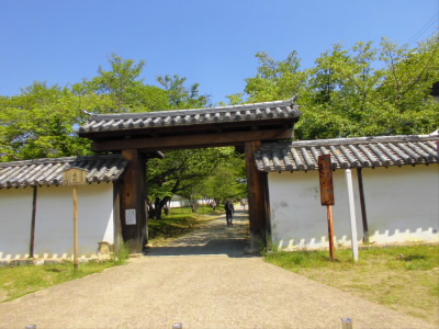 2019/05/11 10:37:43 醍醐寺