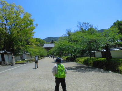 向こうに、仁王門が見えます。
いわゆる、醍醐の花見が行われたお寺です。
本当は、仁王門の右手をいったところにある女人堂から、醍醐山の上醍醐まで山道で行われたそうです。上醍醐まで結構しんどいですが、昔はもっと大変だったのでは想像します。
