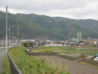 ここまで来ると、あたりが一気にのどかに。