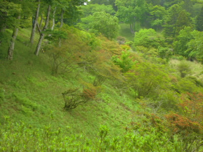 シーズンは済んでしまった。