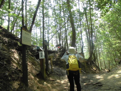今回、天ヶ岳へは、左に折れて伸びります。
ここからも、登りです。
