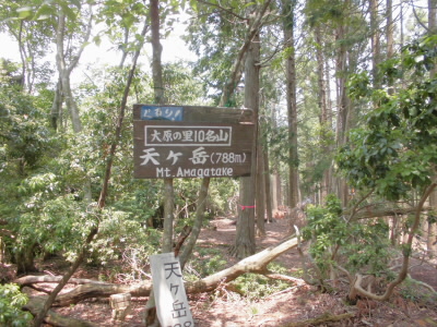 ここでは、食事をとらず、鉄塔で食事をしました。