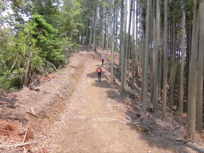 しばらくは林道を歩きます。
前はこんなのあったけ？