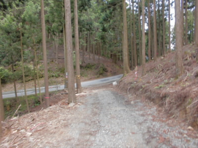 ここで、車道へでました。
ここからは車道になります。
と、いうことで今回のコースの1/3は舗装道路です。