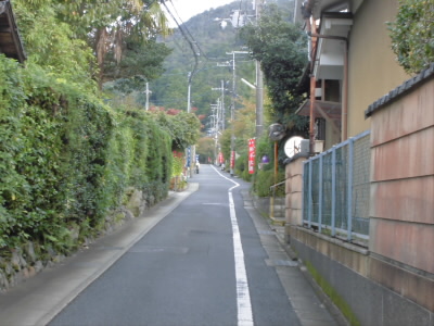 サクラや紅葉の季節ではないので、ゆっくり登れます。