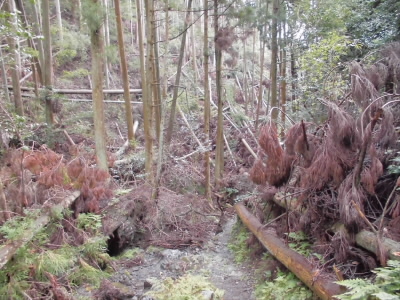 しばらくは、このルートは使用できません。