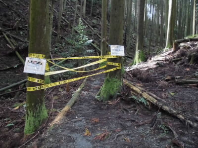 2019/10/20 09:44:11 倒木