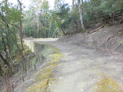 このまま、右の法面を登ればトレイルのルートですが、知らなかったので、林道とトレイルのルートの交差点まで歩きました。