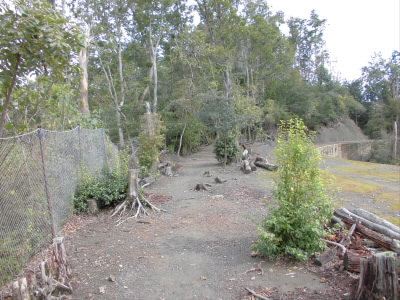 右の林道から間の山道を行きます。
この辺りは見晴らしがいいです。