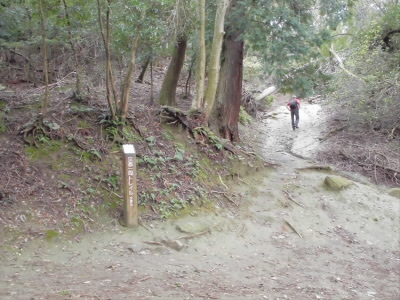 ここでトレイルを外れて、大文字三角点へ進みます。