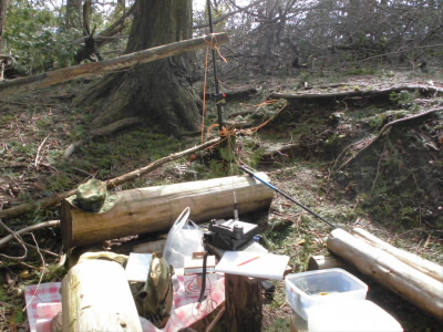 2019/10/20 11:04:27 運用風景