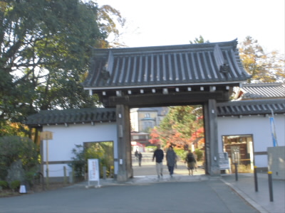 うろうろトレック 19 12 01 将軍塚 東山山頂公園