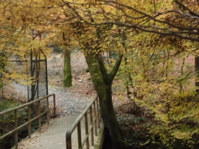 登山口へは山門を右に回り込みます。