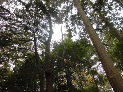 2019/12/08 11:02:58 アンテナ