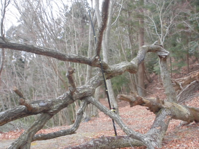 2018/12/21 12:34:22 アマチュア無線の運用