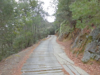 リュックが重たいので、階段になっている参道ではなく、車が上がる方の道を行きました。