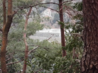 冬の林道は葉が落ちているので遠くが見えるので、太陽電池ファームへの道かエコランドへの道がよく見えます。
