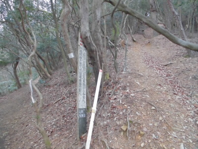 山頂とパノラマ台への分岐です。
この分岐を右を進みました。
