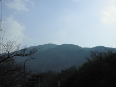 雪があればいいのですが、今年の暖冬では望めません。