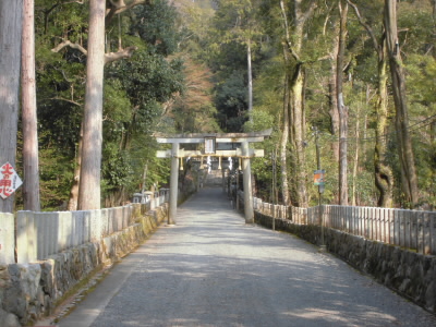 前回もそうですが、神社は結構、奥にあるのでパスします。