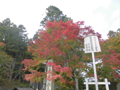 この下に、「根本中堂」があります。