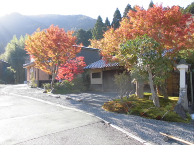 登り口から紅葉が目を楽しませてくれました。