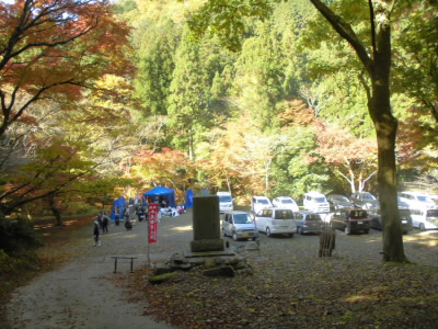 2020/11/15 09:59:55 桜の馬場