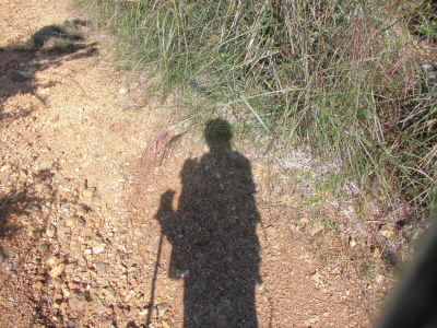 こんな感じで歩きました。