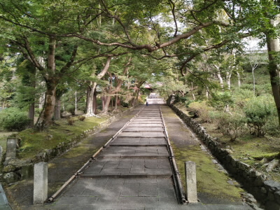 紅葉の名所です。
でも、まったく紅葉していない。