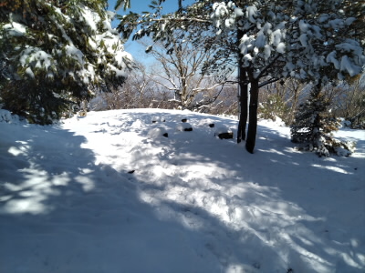 三角点下の広場も雪景色