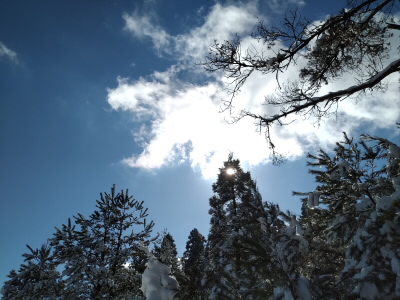 空は快晴。
この後、曇り出して結構寒くなってきました。