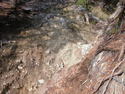 2022/02/23 09:14:30 無動寺道