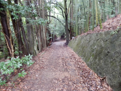 住宅の裏道を通ります。
こんな道、知らなかった。