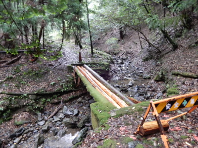 2022/07/10 09:13:17 裏道