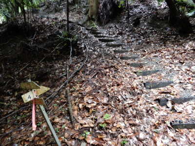 2022/07/10 09:19:15 裏道