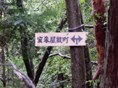 2022/07/10 09:55:36 裏道