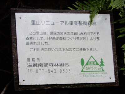 2022/07/10 10:17:22 看板