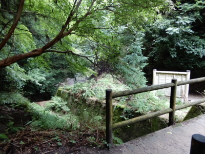 やっと降りてきました。
