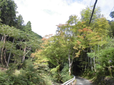 登り口へ向かう道のカエデがほんの少し色づき始めました。