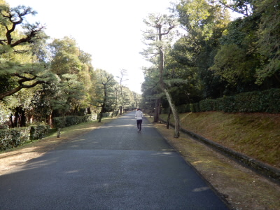 御領に入ると、なんか急に静寂に包まれます。