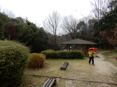 この右側の斜面は前来たときは、斜面でお弁当を食べられたのに、今回見たら、木が植えられていた。
