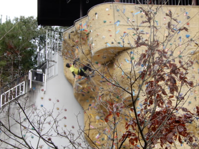 2023/03/18 11:05:01 クライミングウォール