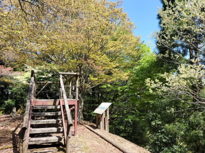 2023/04/23 10:23:50 もたて山