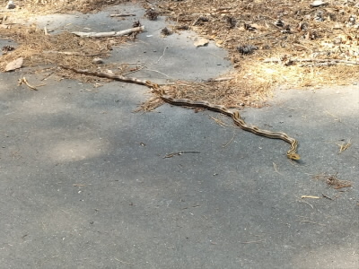 2023/05/04 14:37:47 メガソーラ